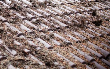 Hartswell roof cleaning companies