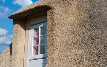 Hartswell thatch roof disadvantages