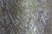 Hartswell fibreglass roof work